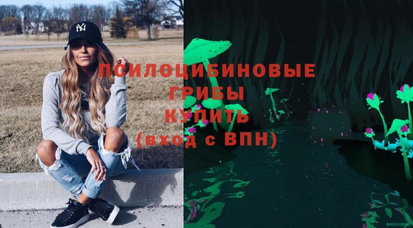 таблы Новодвинск