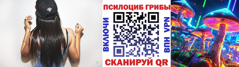 Галлюциногенные грибы Cubensis  Купить закладки  Владивосток 