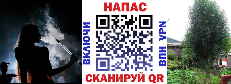 Каннабис гибрид  Купить  Владивосток 